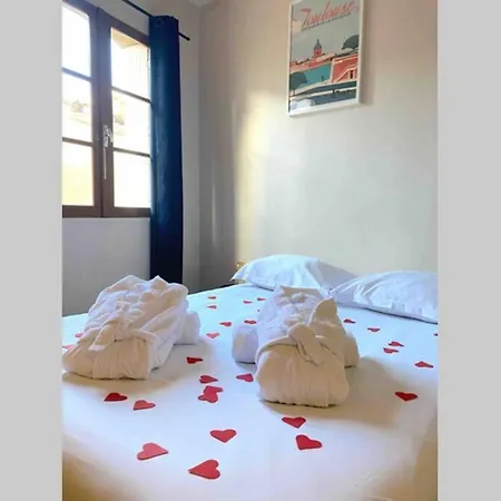 Apartament L'Alcove Spa - Toulouse Hypercentre *
